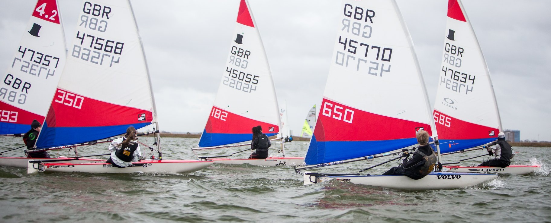 49766443 1991744147527296 530261580101713920 n