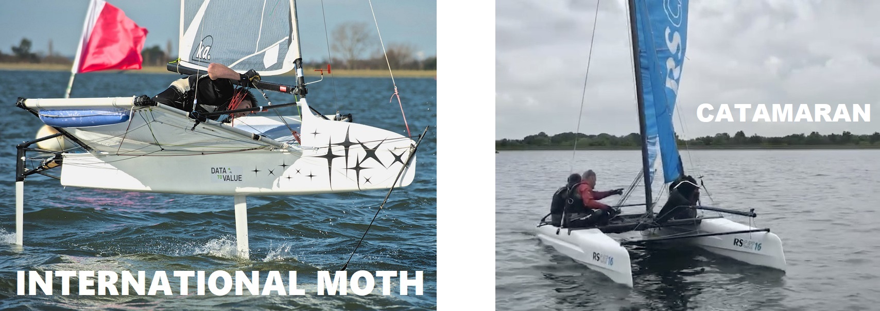 Moth2