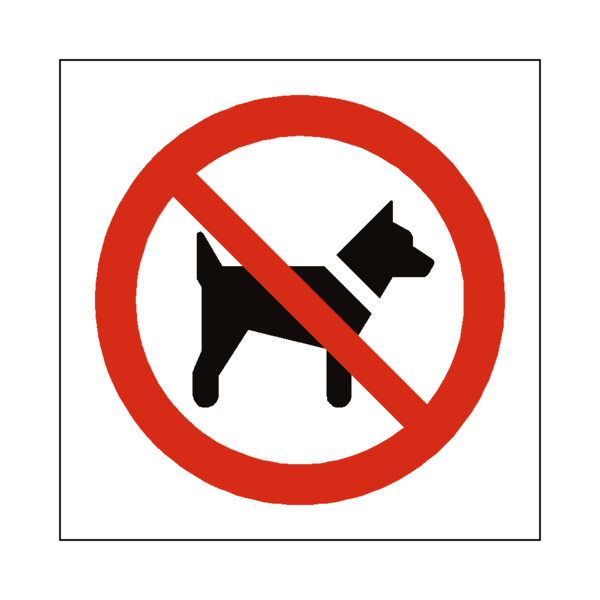no dogs